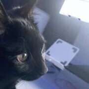 ヒメ日記 2025/04/16 08:03 投稿 ゆま 川越ぷよステーション