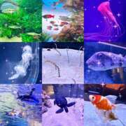 あるか 1日おで~とありがとう🐧🚢💕 SKY(スカイ)