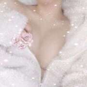 ヒメ日記 2025/08/29 19:31 投稿 YURIA さくらん東京