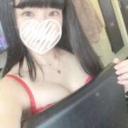 ヒメ日記 2025/11/13 13:00 投稿 るる My Essentials