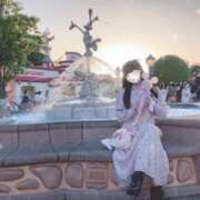 ヒメ日記 2026/05/12 08:11 投稿 るる My Essentials