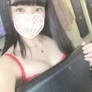 ヒメ日記 2026/06/08 11:21 投稿 るる My Essentials