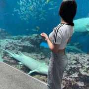 ヒメ日記 2026/04/12 19:19 投稿 らら（天真爛漫！S級美少女！ ハニービー（Honey Bee）