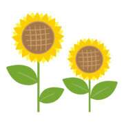 ヒメ日記 2025/07/07 22:38 投稿 ももな banana