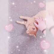 ヒメ日記 2025/04/14 16:02 投稿 みか ファーストレディ(博多)