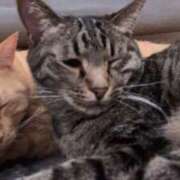 ヒメ日記 2025/04/24 13:12 投稿 みか ファーストレディ(博多)