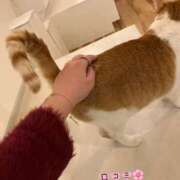 ヒメ日記 2025/04/29 21:23 投稿 みか ファーストレディ(博多)