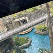 ヒメ日記 2025/04/30 03:42 投稿 みか ファーストレディ(博多)