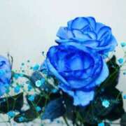 ヒメ日記 2025/06/27 13:25 投稿 みか ファーストレディ(博多)