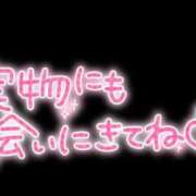ヒメ日記 2025/09/03 07:52 投稿 みか ファーストレディ(博多)
