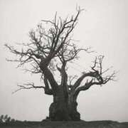 ヒメ日記 2025/09/18 09:16 投稿 みか ファーストレディ(博多)