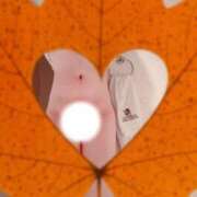 ヒメ日記 2025/11/24 12:52 投稿 みか ファーストレディ(博多)