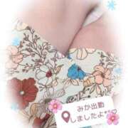 ヒメ日記 2025/12/16 10:22 投稿 みか ファーストレディ(博多)