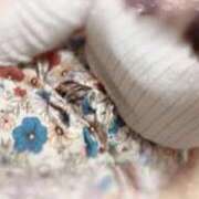 ヒメ日記 2026/01/22 10:02 投稿 みか ファーストレディ(博多)