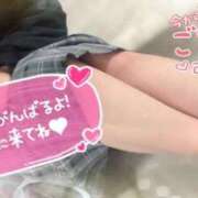 ヒメ日記 2026/02/10 15:22 投稿 みか ファーストレディ(博多)