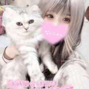 ヒメ日記 2025/04/21 14:00 投稿 すずね Beppin house