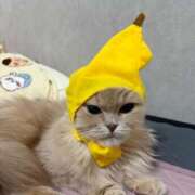 ヒメ日記 2025/04/23 01:10 投稿 すずね Beppin house