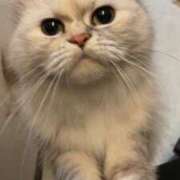 ヒメ日記 2025/07/05 09:26 投稿 すずね Beppin house