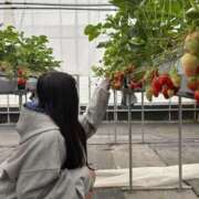 ヒメ日記 2025/09/17 17:35 投稿 すずね Beppin house