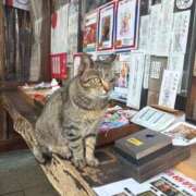 ヒメ日記 2026/01/24 23:55 投稿 すずね Beppin house