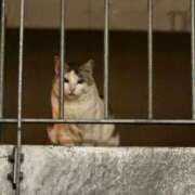 ヒメ日記 2025/08/01 23:27 投稿 れみ マリン宮殿雄琴店