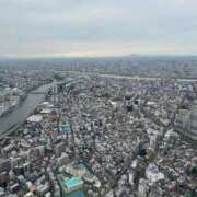 ヒメ日記 2025/06/11 22:15 投稿 美音 Anemone渋谷店