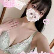 ヒメ日記 2026/05/01 08:32 投稿 れな【❤体験入店❤】 人妻ラブマシーン