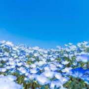 ヒメ日記 2025/05/02 07:17 投稿 ユラ OLの品格 クラブアッシュ