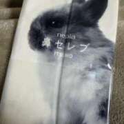 ヒメ日記 2026/02/11 21:48 投稿 ユラ OLの品格 クラブアッシュ