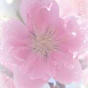 ヒメ日記 2025/04/17 12:32 投稿 北島あや 五十路マダム富山店(カサブランカグループ)