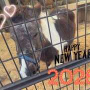 ヒメ日記 2026/01/01 12:48 投稿 ゆきね セクシー(長崎)