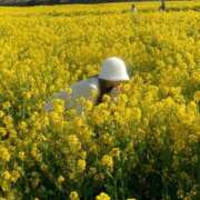 ヒメ日記 2025/04/14 15:18 投稿 せいら セクシー(長崎)