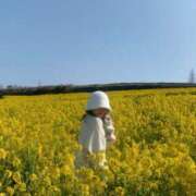 ヒメ日記 2025/04/17 14:18 投稿 せいら セクシー(長崎)