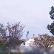 ヒメ日記 2025/04/17 08:46 投稿 あやか 熟女総本店