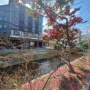 ヒメ日記 2026/03/05 20:32 投稿 あやか 熟女総本店