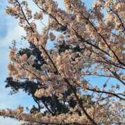 ヒメ日記 2026/03/28 22:25 投稿 あやか 熟女総本店