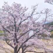 ヒメ日記 2026/04/20 12:02 投稿 あやか 熟女総本店