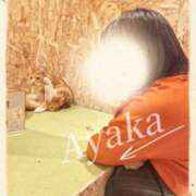 ヒメ日記 2026/09/13 12:08 投稿 あやか 熟女総本店