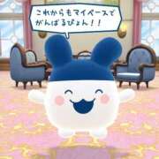 ヒメ日記 2025/07/05 11:44 投稿 ゆら AFTER V（アフターファイブ）