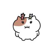 ヒメ日記 2026/01/25 18:02 投稿 ゆら AFTER V（アフターファイブ）