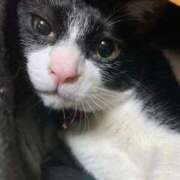 ヒメ日記 2025/05/15 10:24 投稿 りと 恋のうた