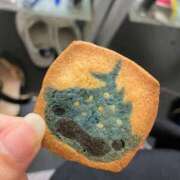 ヒメ日記 2025/07/04 20:50 投稿 りと 恋のうた