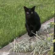 ヒメ日記 2025/08/04 12:50 投稿 りと 恋のうた