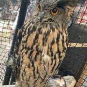 ヒメ日記 2025/10/15 12:45 投稿 りと 恋のうた