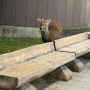 ヒメ日記 2025/11/29 08:24 投稿 りと 恋のうた