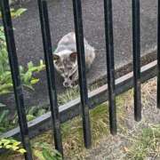 ヒメ日記 2025/12/04 08:21 投稿 りと 恋のうた