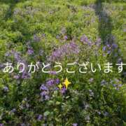ヒメ日記 2025/04/14 23:10 投稿 なごみ 奥鉄オクテツ東京店（デリヘル市場）