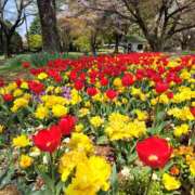 ヒメ日記 2025/04/18 23:30 投稿 なごみ 奥鉄オクテツ東京店（デリヘル市場）