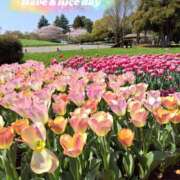 ヒメ日記 2025/04/22 23:10 投稿 なごみ 奥鉄オクテツ東京店（デリヘル市場）