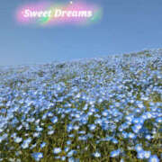 ヒメ日記 2025/05/06 22:55 投稿 なごみ 奥鉄オクテツ東京店（デリヘル市場）